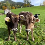 Am Hof