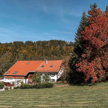Apartment Am Hof Jungholz