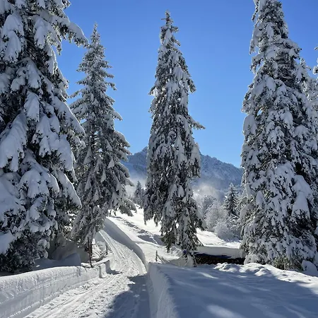 Am Hof