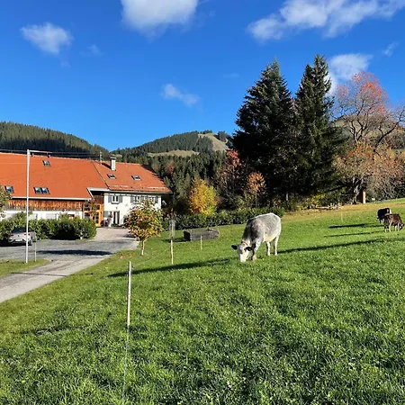 Apartman Am Hof Jungholz
