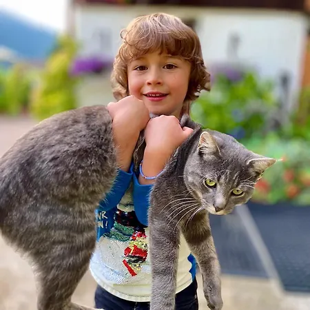 Am Hof Jungholz