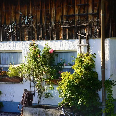 Appartement Am Hof Jungholz